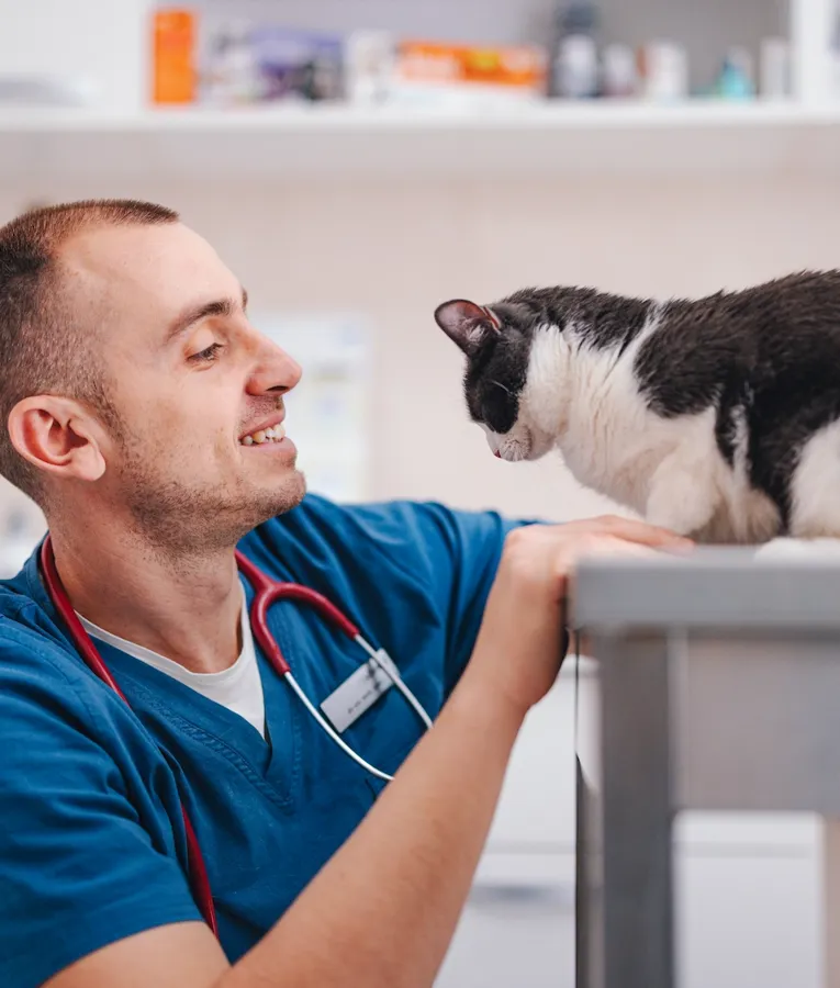 En leende veterinär i blå arbetskläder klappar kärleksfullt en svartvit katt på undersökningsbordet i en djurklinik.